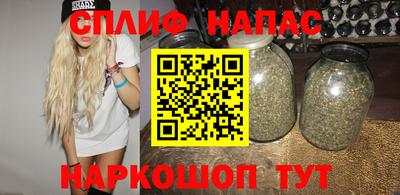 гидропоника Пугачёв